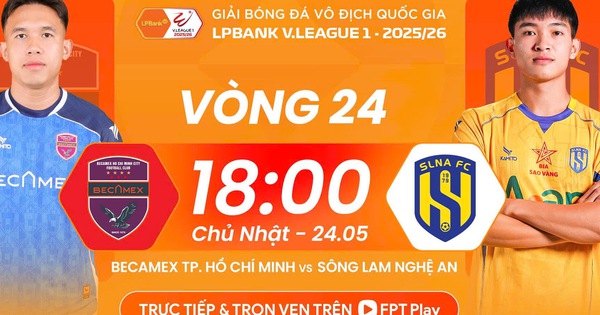 Jin88 cược thể thao