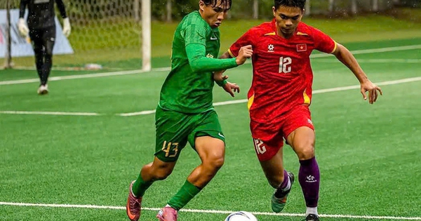 Cá cược thể thao uy tín