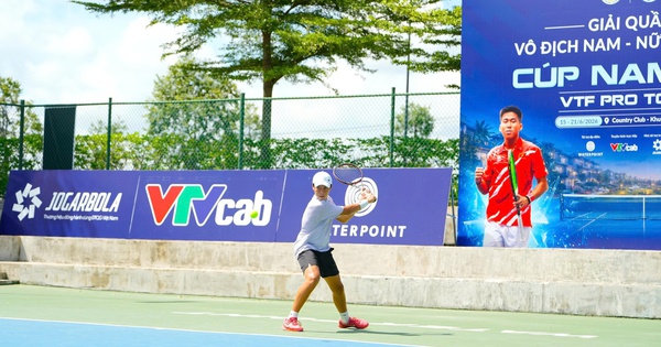 Jin88 cược thể thao