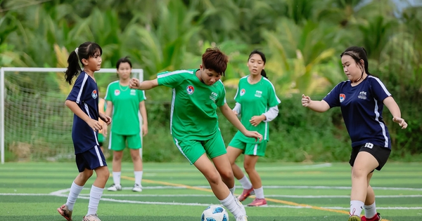 Nhà cái cá cược số 1