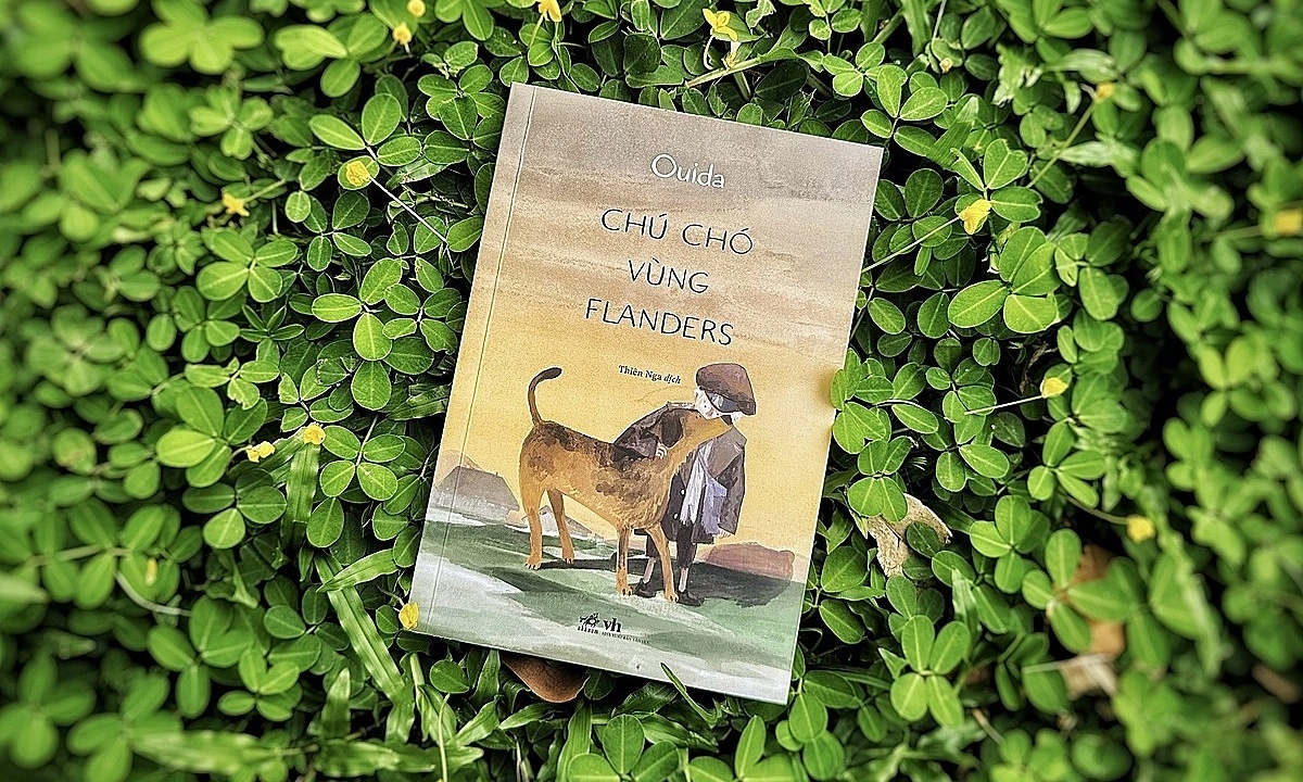 Link vào nhà cái Jin88